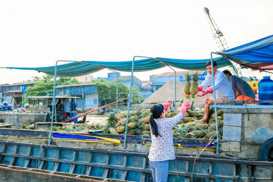 Biking Mekong Delta Vietnam, Cai Be, Tra Vinh, Can Tho 4 Days